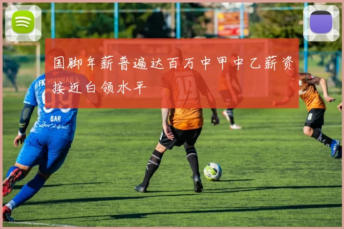 国脚年薪普遍达百万中甲中乙薪资接近白领水平
